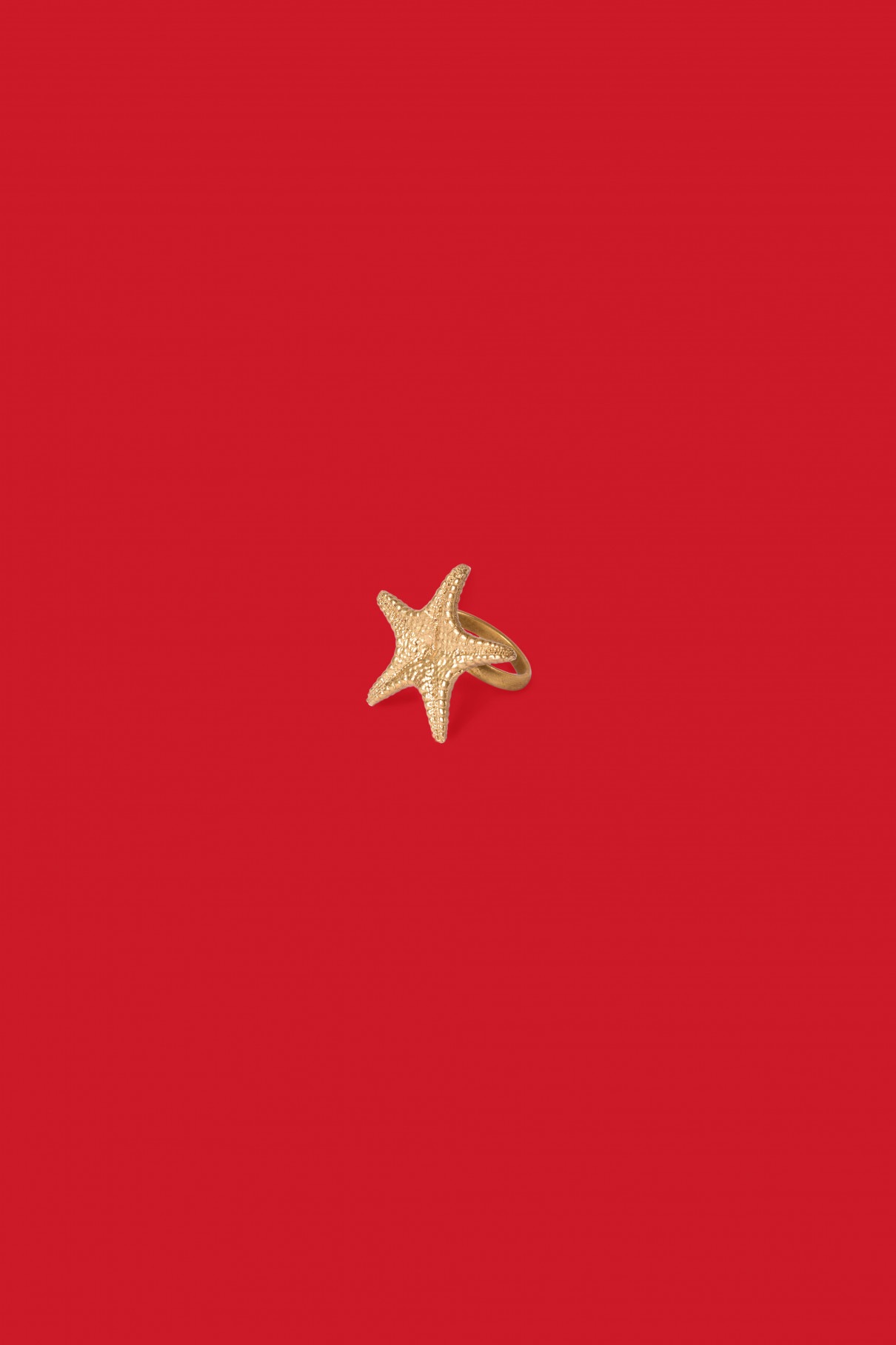 Кольцо Estrella de mar gran anell plata , Серебряный, арт. 1040 купить в интернет-магазине