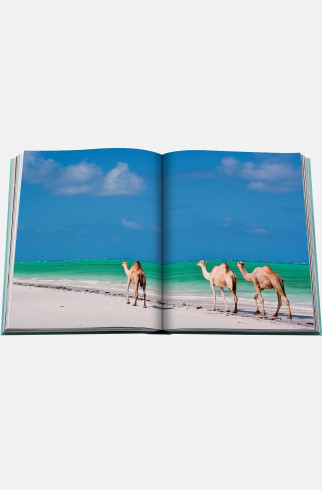 Книгa Assouline Saudi Arabia: Red Sea, The Saudi Coast ,  арт. 9781649800848 купить в интернет-магазине