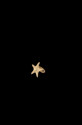 Кольцо Estrella Del Mar Plata , Серебряный, арт. 1040 купить в интернет-магазине