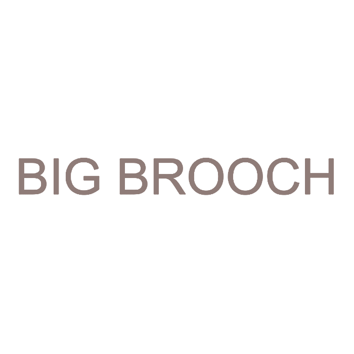 BIG BROOCH