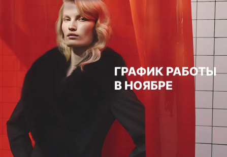График работы в ноябре
