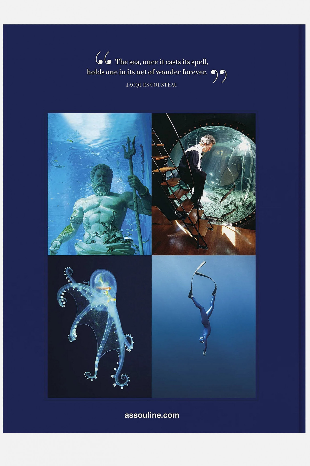 Книга ASSOULINE	Ocean Wanderlust , арт. 9781649802644 купить в интернет-магазине