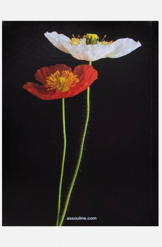 Книга ASSOULINE Flowers: Art & Bouquets ,  арт. 9781614285144 купить в интернет-магазине