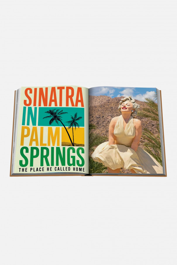 Книга Palm Springs