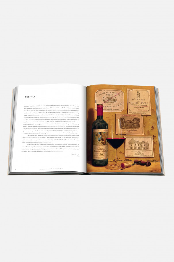 Книга Wine & Travel France