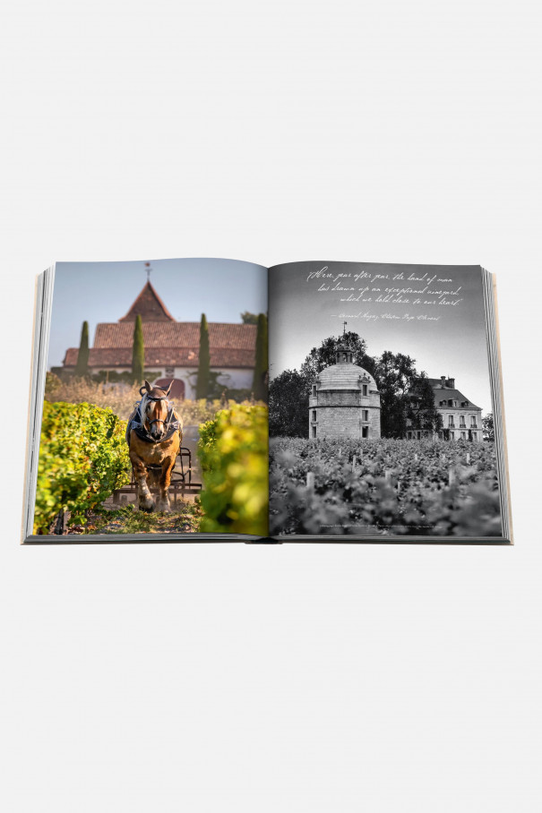 Книга Wine & Travel France