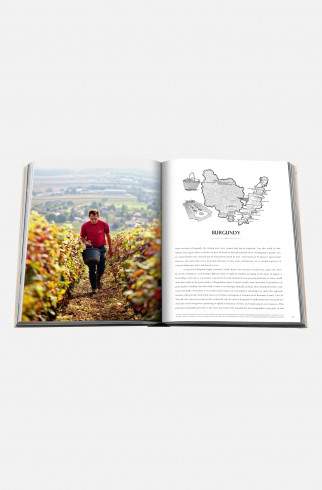 Книга Wine & Travel France ,  арт. 9781649803849 купить в интернет-магазине