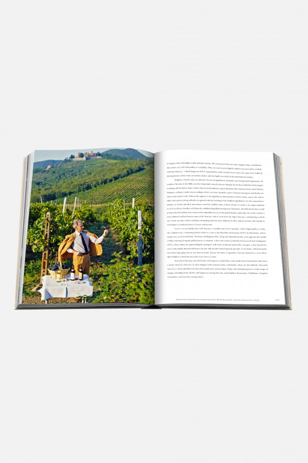 Книга Wine & Travel Italy