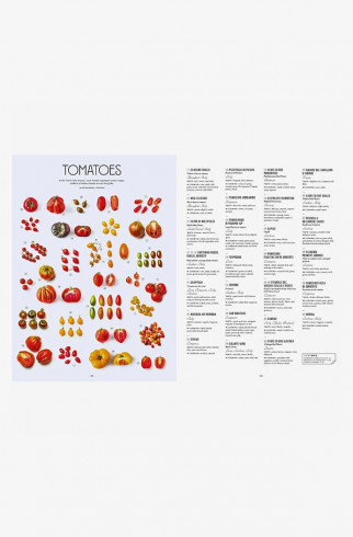 Книгa Artisan,  Let's Eat Italy!: Everything You Want to Know About Your Favorite Cuisine ,  арт. 9781648290596 купить в интернет-магазине