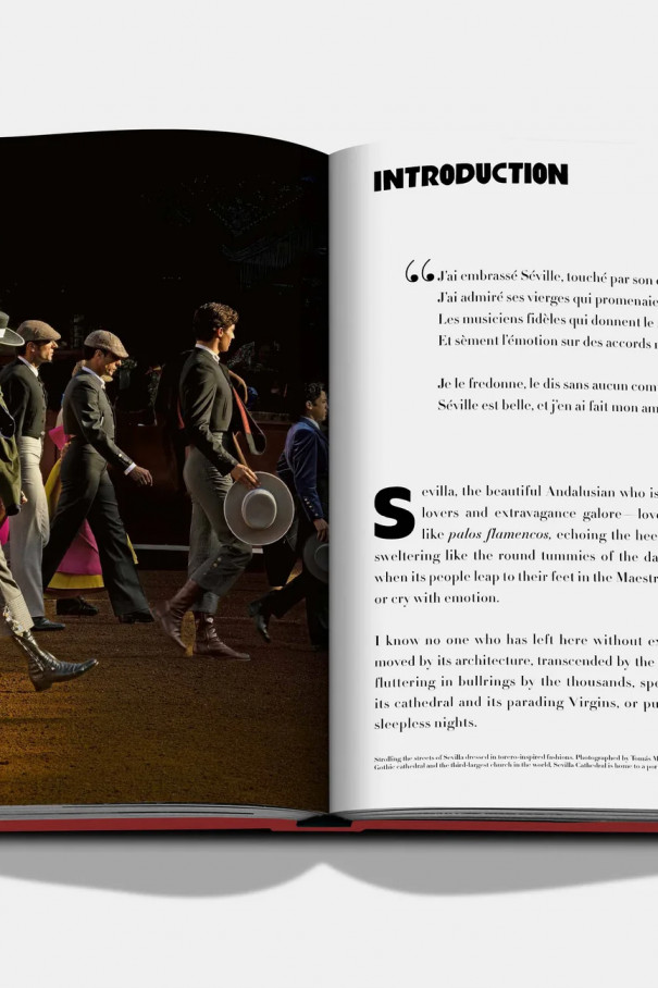 Книгa ASSOULINE Sevilla Arte