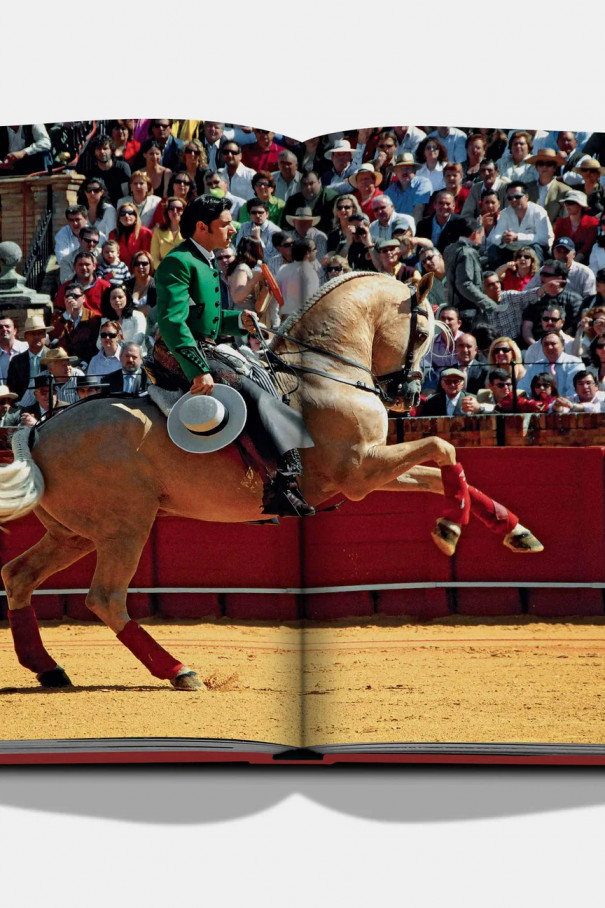 Книгa ASSOULINE Sevilla Arte