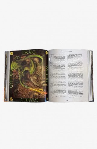 Книгa Harry Potter and the Goblet of Fire Illustrated Ed. ,  арт. 9781408845677 купить в интернет-магазине