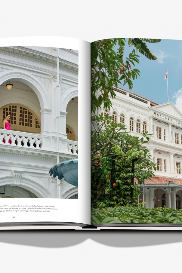 Книга Raffles