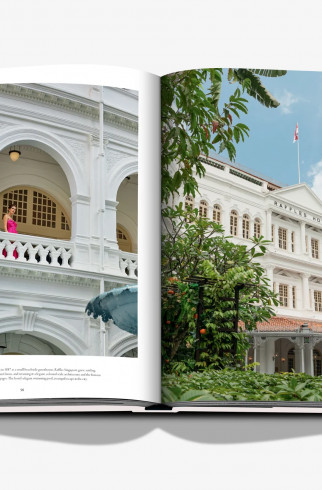 Книга Raffles ,  арт. 9781649804112 купить в интернет-магазине
