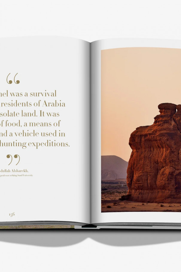 Книга Camels from Saudi Arabia (classic)