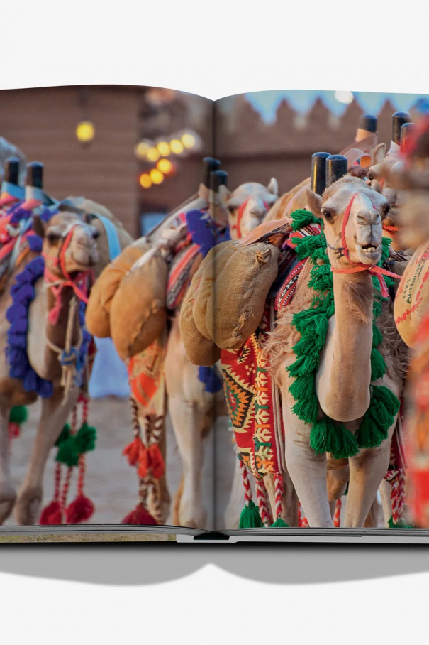 Книга Camels from Saudi Arabia (classic)
