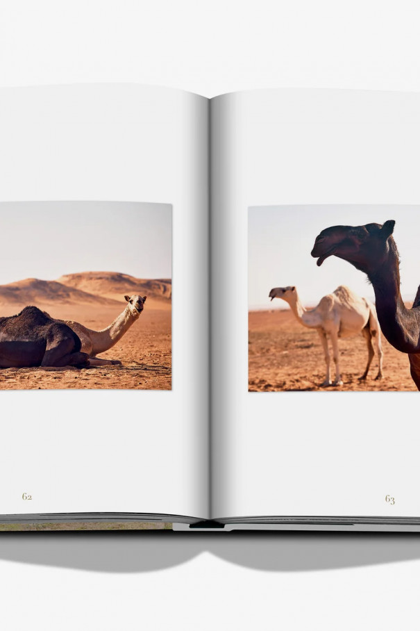 Книга Camels from Saudi Arabia (classic)