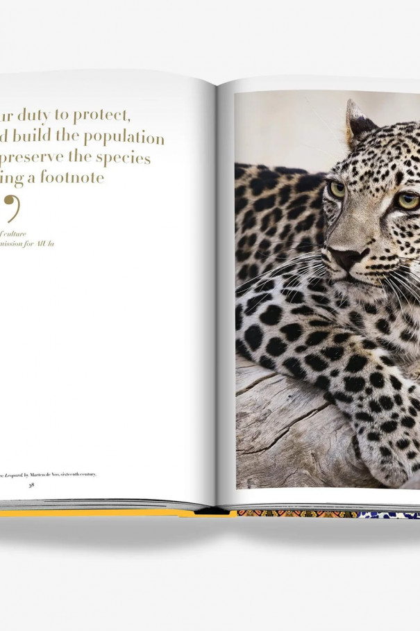Книга Arabian Leopard (Classic)