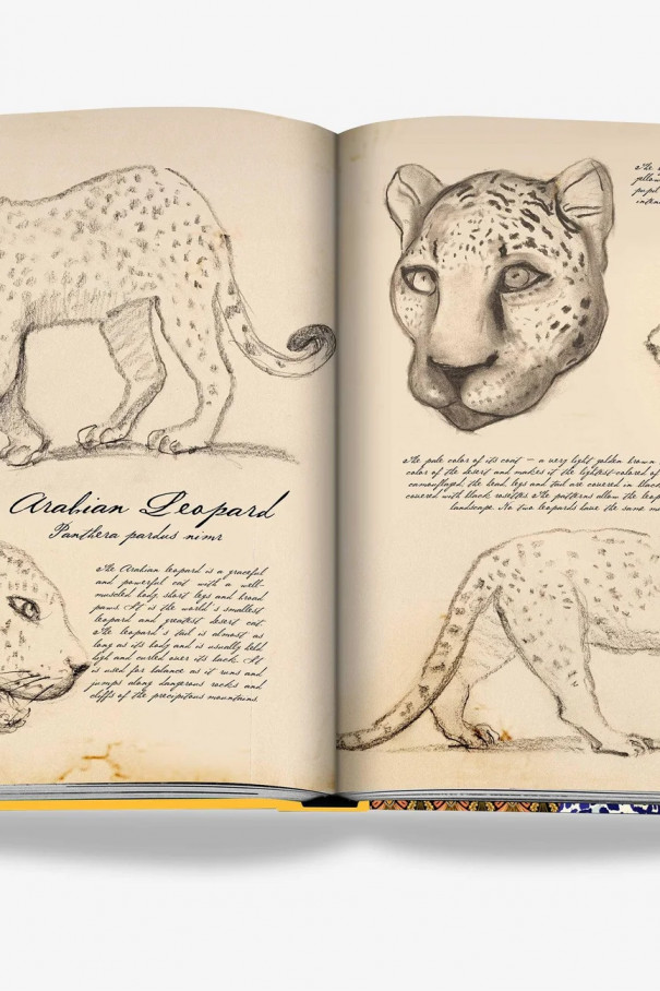 Книга Arabian Leopard (Classic)