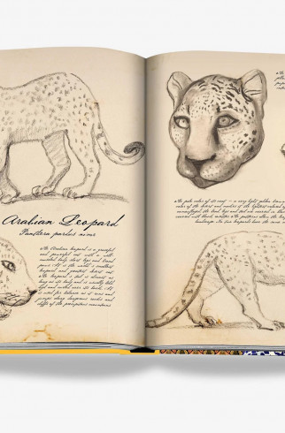 Книга Arabian Leopard (Classic) ,  арт. 9781649800794 купить в интернет-магазине