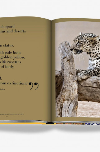 Книга Arabian Leopard (Classic) ,  арт. 9781649800794 купить в интернет-магазине