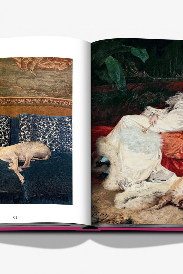 Книга Chic Dogs