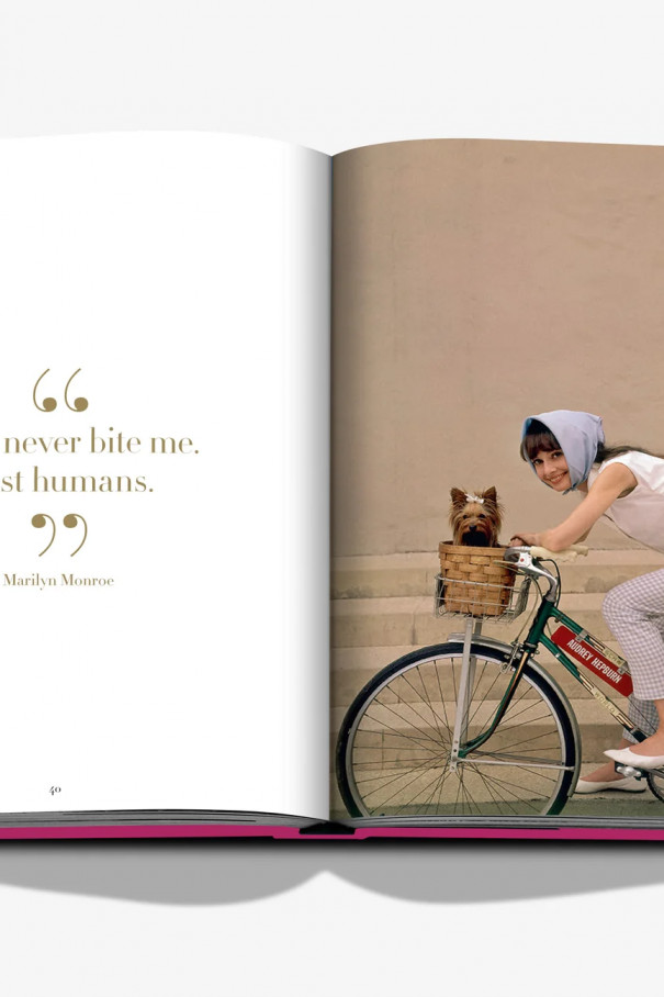 Книга Chic Dogs