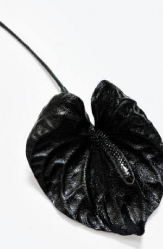 Брошь  BIG BROOCH Антуриум черный , Черный, арт. 35585352 купить в интернет-магазине