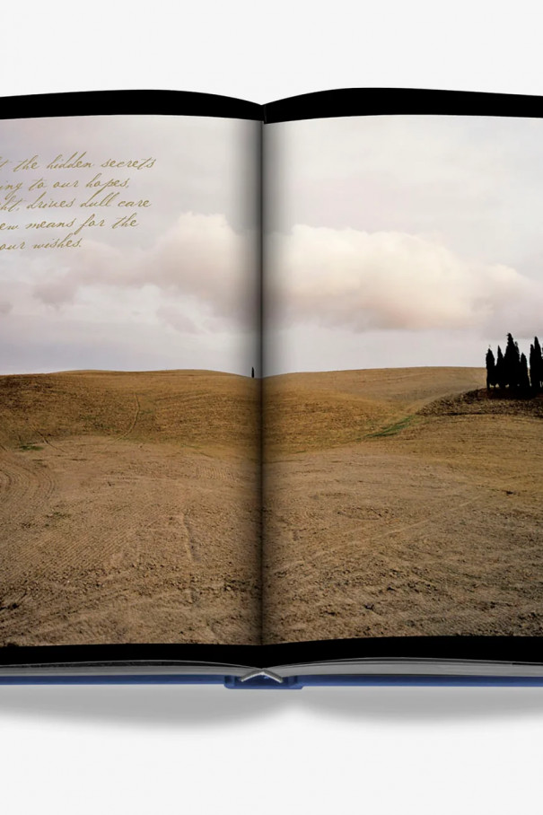 Книгa Assouline The Italian Dream: Wine, Heritage, Soul