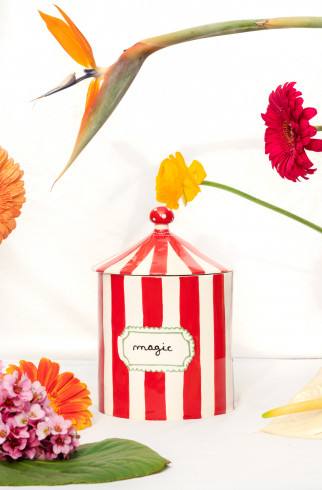Керамическая шкатулка Magic Box , Мультицвет, арт. 5600844311000 купить в интернет-магазине