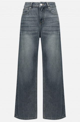 Джинсы Dayon , Серый, арт. FR26AW1DJ00PCW310GR купить в интернет-магазине