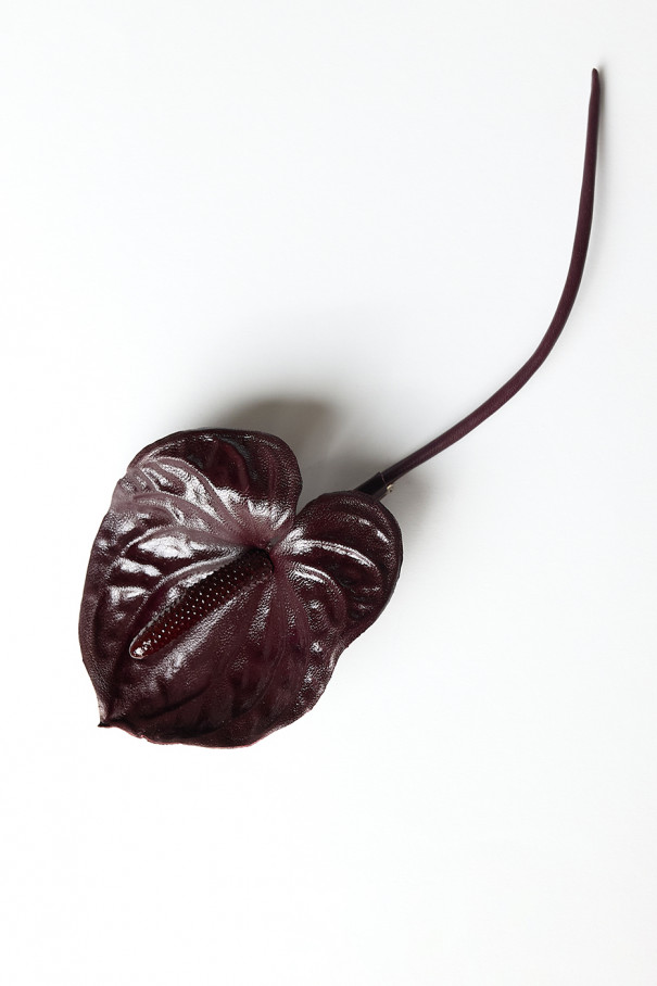 Брошь Антуриум, бордо , бордовый, арт. 22485425 купить в интернет-магазине