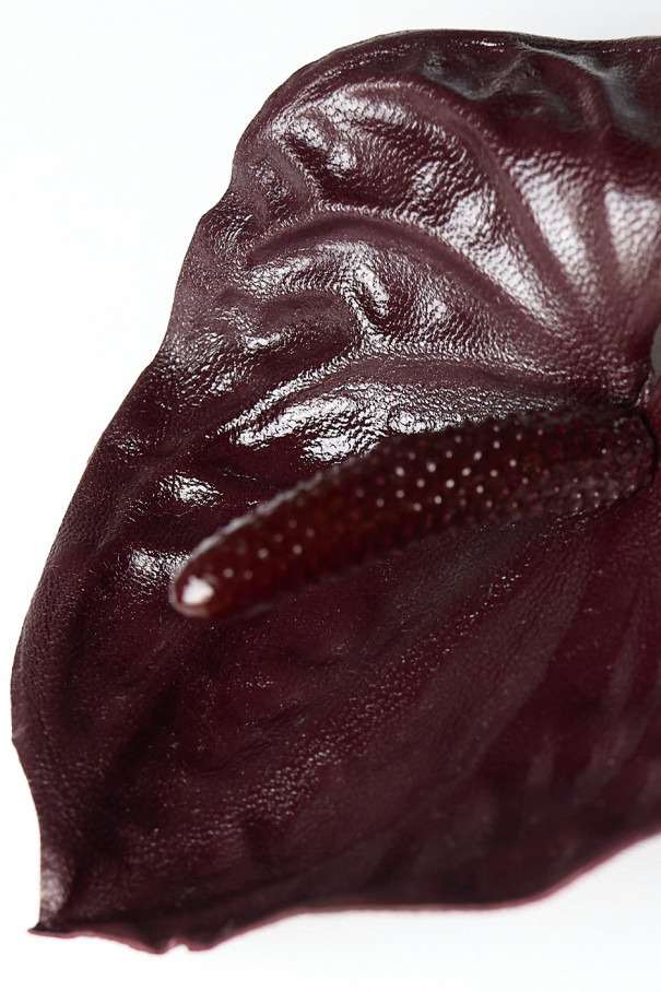 Брошь Антуриум, бордо , бордовый, арт. 22485425 купить в интернет-магазине