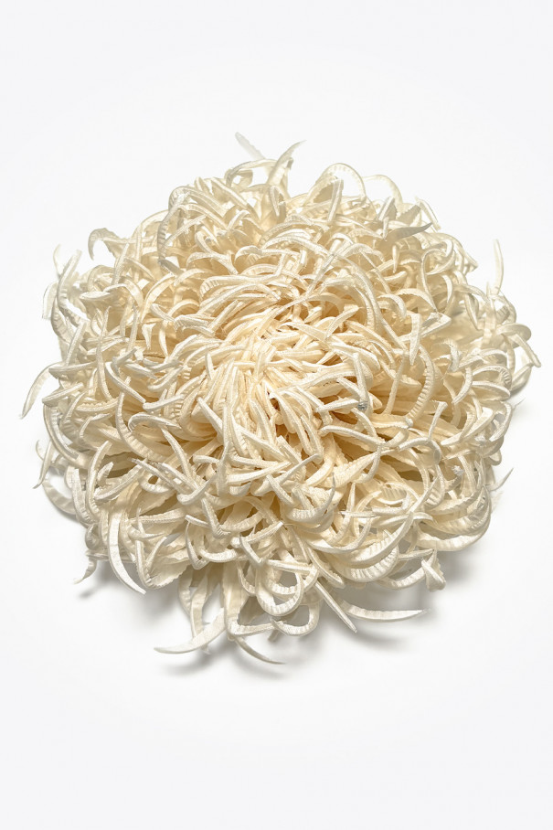 Брошь Astra, кремовый , бежевый, арт. 22316867 купить в интернет-магазине