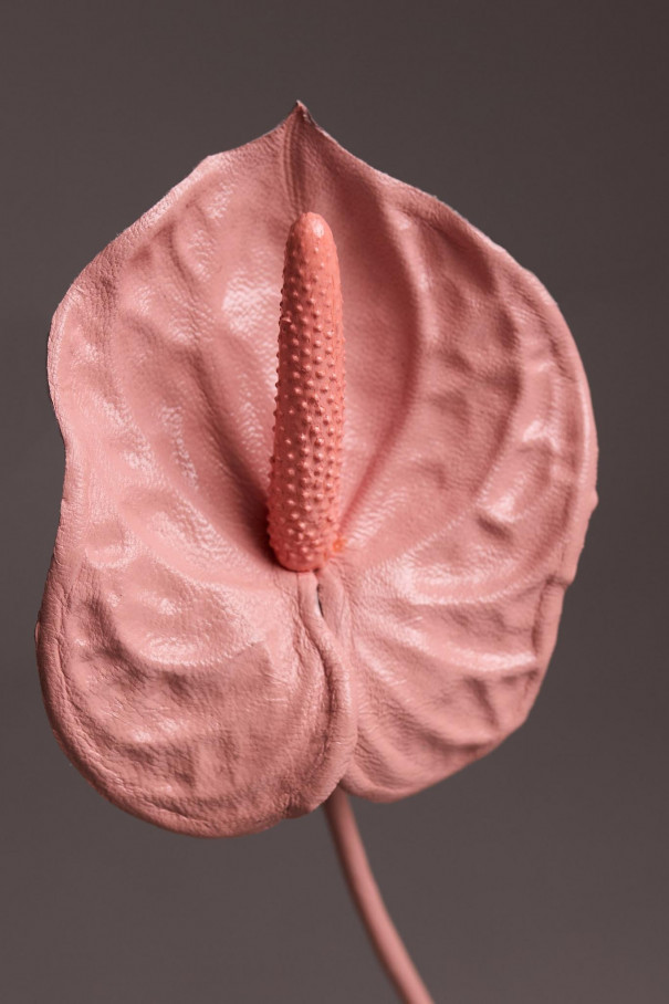 Брошь Антуриум, розовый , розовый, арт. 36473656 купить в интернет-магазине