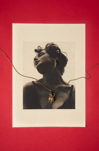 Ожерелье Rosa collar bronce , Бронзовый, арт. 1199 купить в интернет-магазине